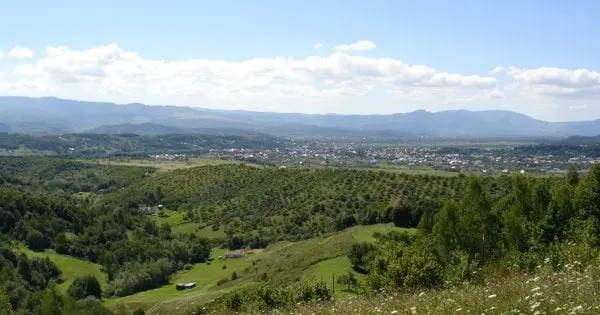 На Закарпатті мешканці села стали власниками 5 га землі через аферу держреєстраторки