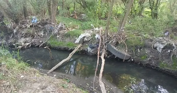 Дослідження львівських екологів свідчить про можливе зникнення річки Зубра