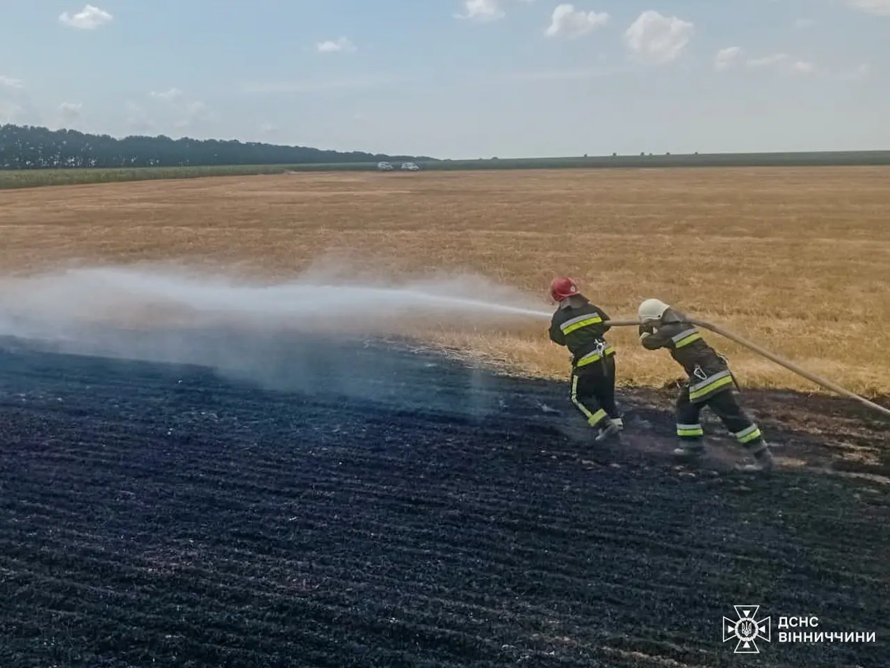 На Вінниччині через людську недбалість горіли стерня та трава біля полів