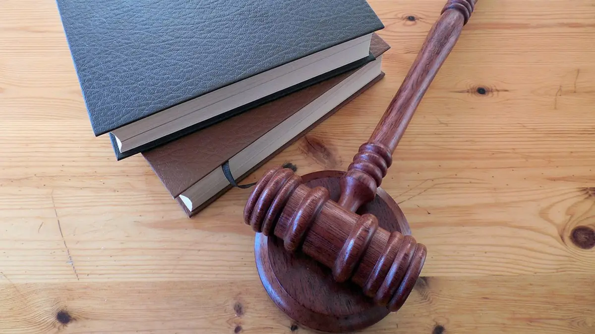 Суд скасував рішення Київради, що обмежувало створення природних зон