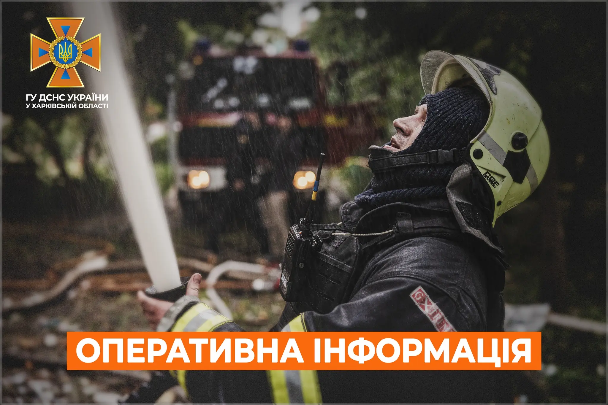 Сім лісових пожеж намагаються загасити рятувальники – дані ДСНС