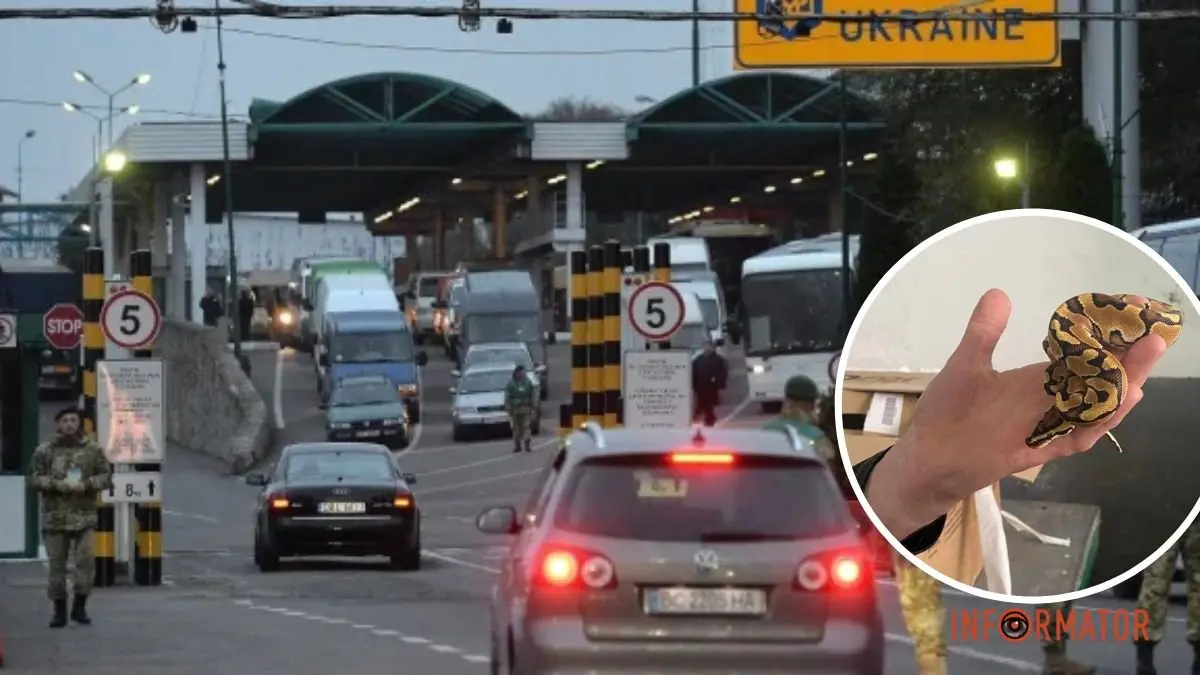 Мешканець Дніпропетровської області намагався ввезти в Україну екзотичного пітона