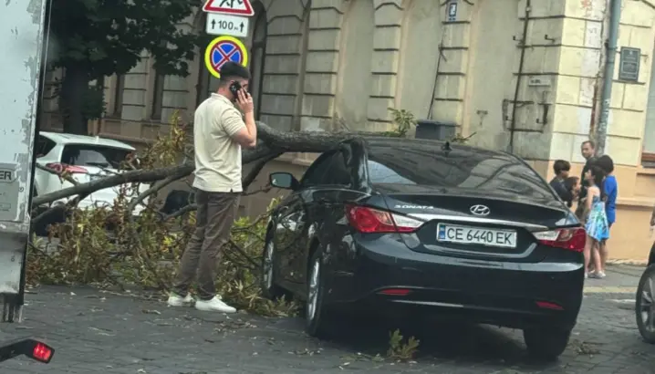 У центрі Чернівців гілка дерева ледь не вбила відомого науковця: чоловіку стало зле