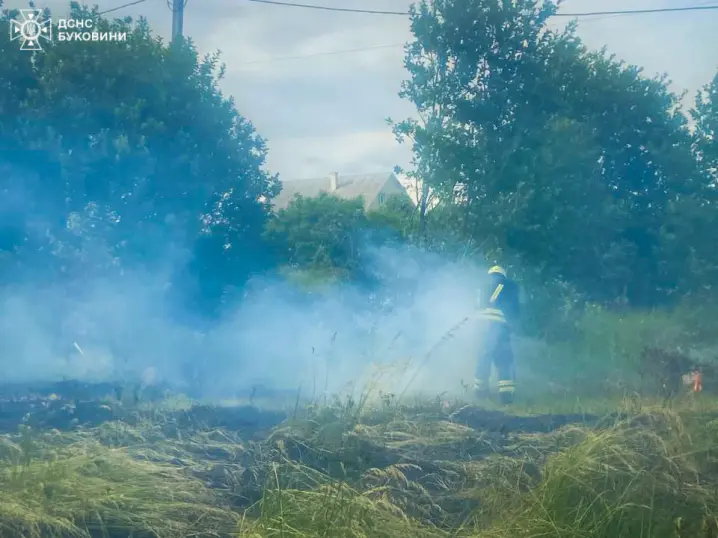 На Буковині вогнеборці ліквідували пожежу на площі пів гектара