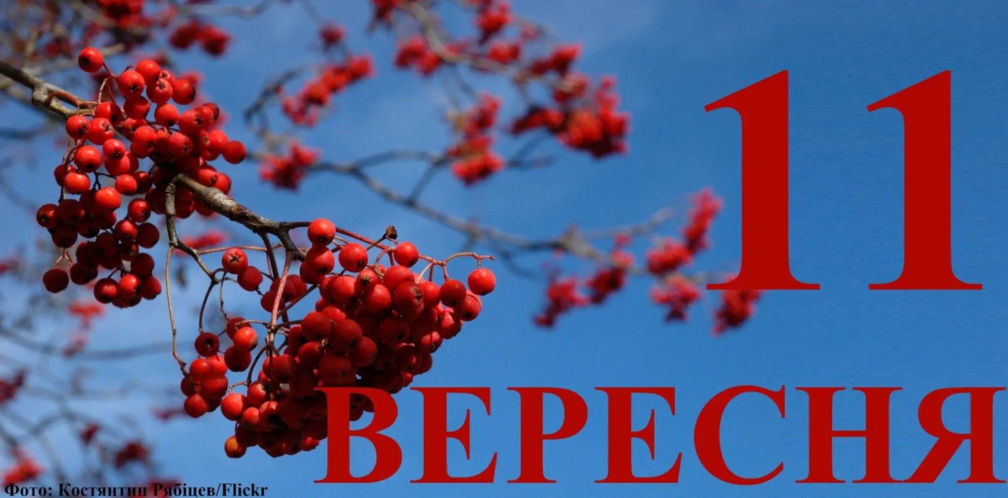 Сьогодні 11 вересня: яке свято та день в історії