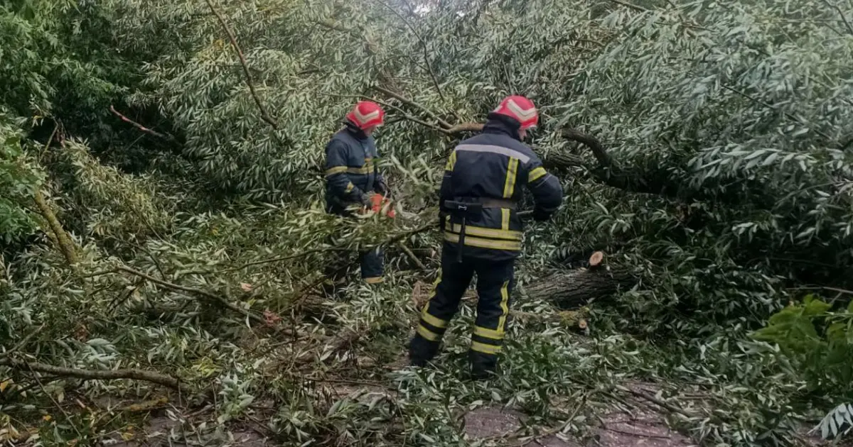 На Вінниччині рятувальники вчора шість разів виїжджали на виклики через повалені дерева