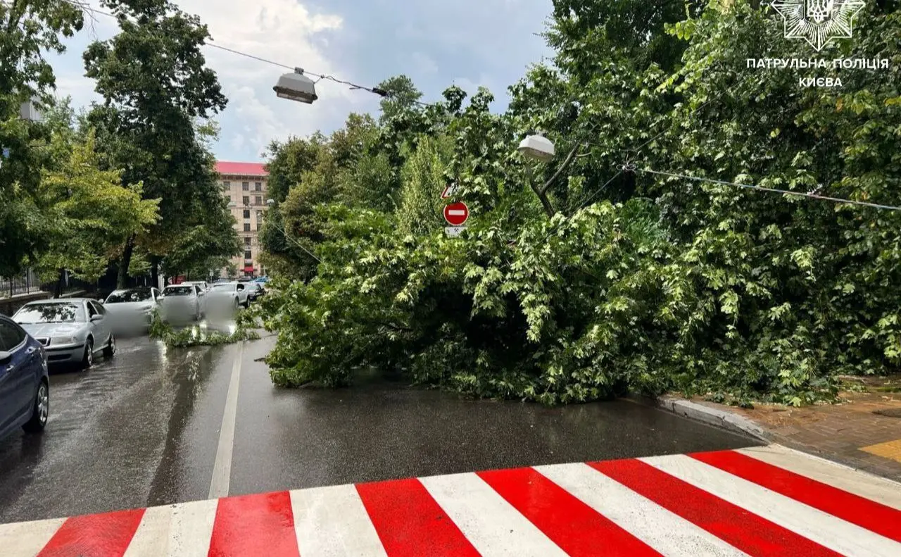 Через повалені дерева у столиці важко проїхати низкою столичних вулиць