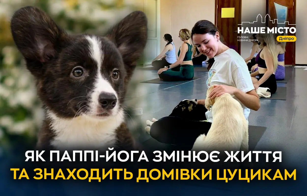 Як паппі-йога у Дніпрі змінює життя та допомагає знаходити домівки цуцикам