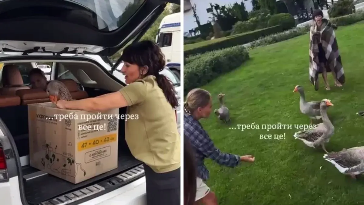 У Дніпрі у яхт-клубі "Січ" жінки зловили гусака для фотосесії: що кажуть поліцейські
