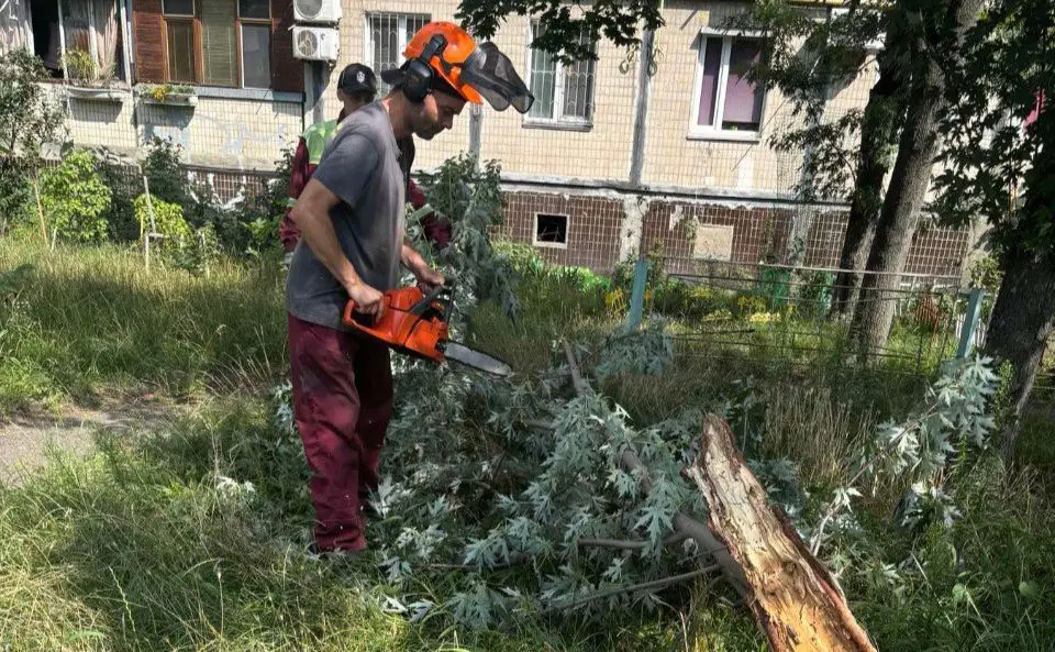 Сильна злива повалила майже 170 дерев у Києві