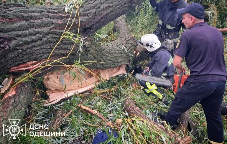 На Одещині дерево впало на намет із підлітками. Один із них загинув