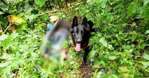 Мешканця Рівненщини підозрюють у вбивстві рідного брата