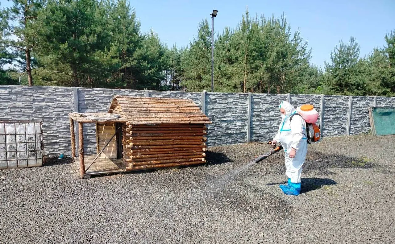 Під Києвом виявили сказ у собаки та борсука