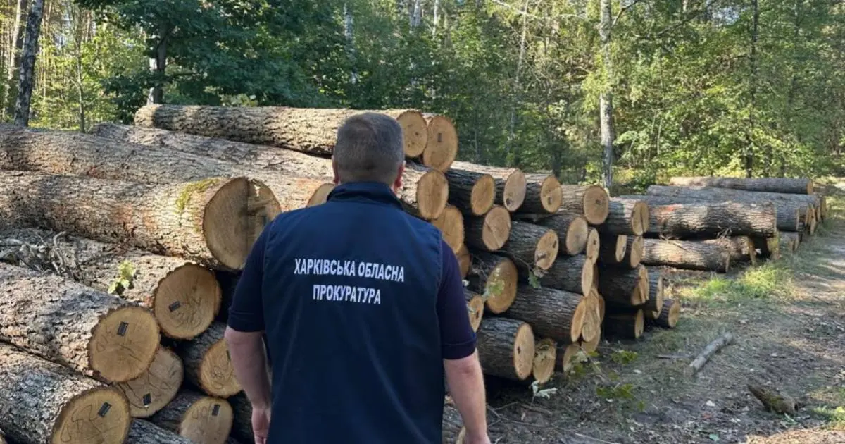 Керівник харківського лісгоспу подарував приватній фірмі п`ять мільйонів гривень