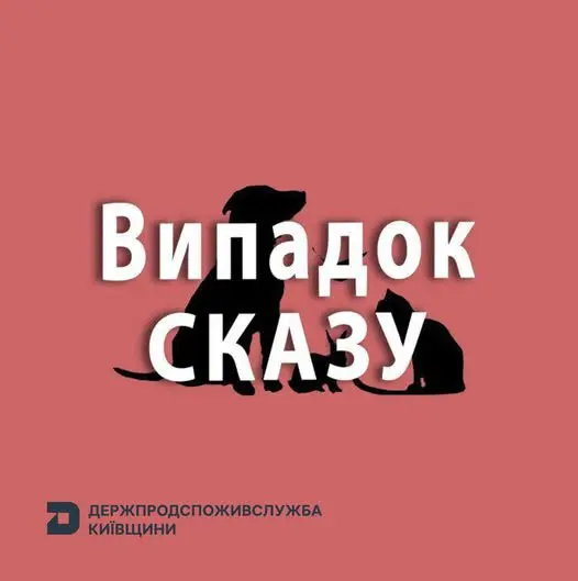 На Білоцерківщині сказився домашній пес, випадок зараження розслідують
