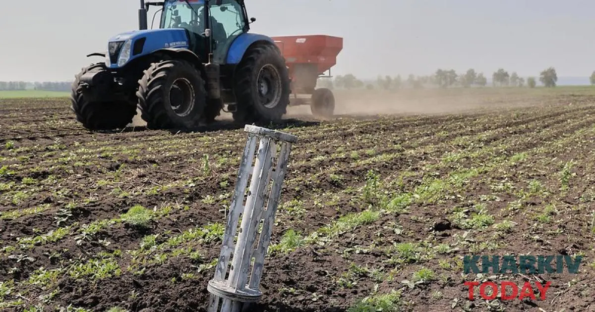 У Харківській області пропонують найбільше землі для оренди
