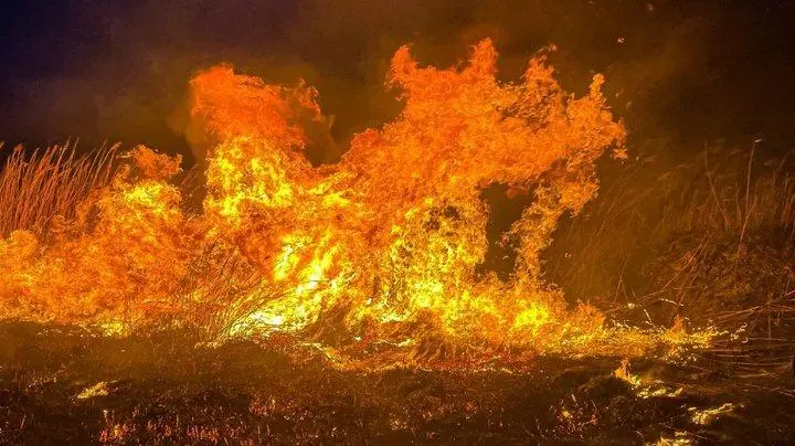 В Одесі на полях зрошення гасили пожежу