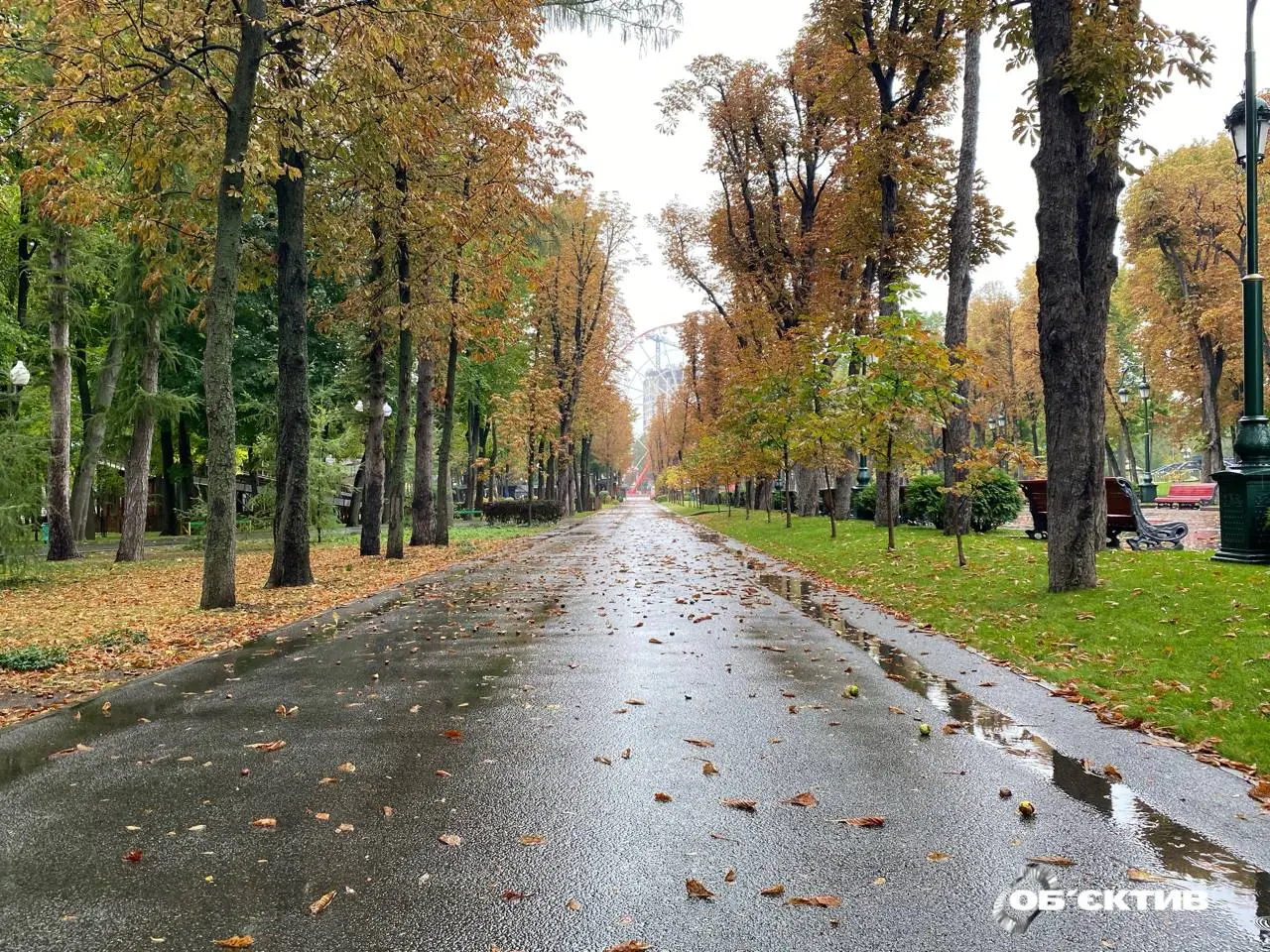 Вдень тепло і невеликий дощ. Прогноз погоди на 4 жовтня у Харкові й області