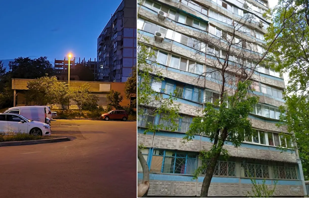 У Дніпрі продовжують видаляти аварійні дерева та відновлювати вуличне освітлення за заявками містян