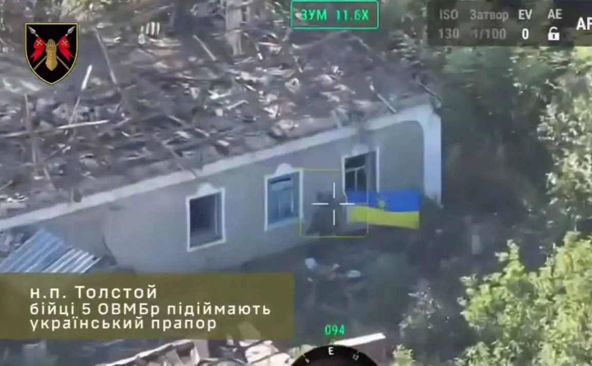 ЗСУ звільнили більшу частину села Товсте на Донеччині, — ОСУВ «Дніпро»