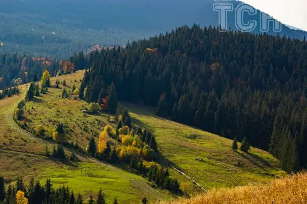 Турист травмувався та застряг у горах Польщі: як українська ДСНС врятувала чоловіка
