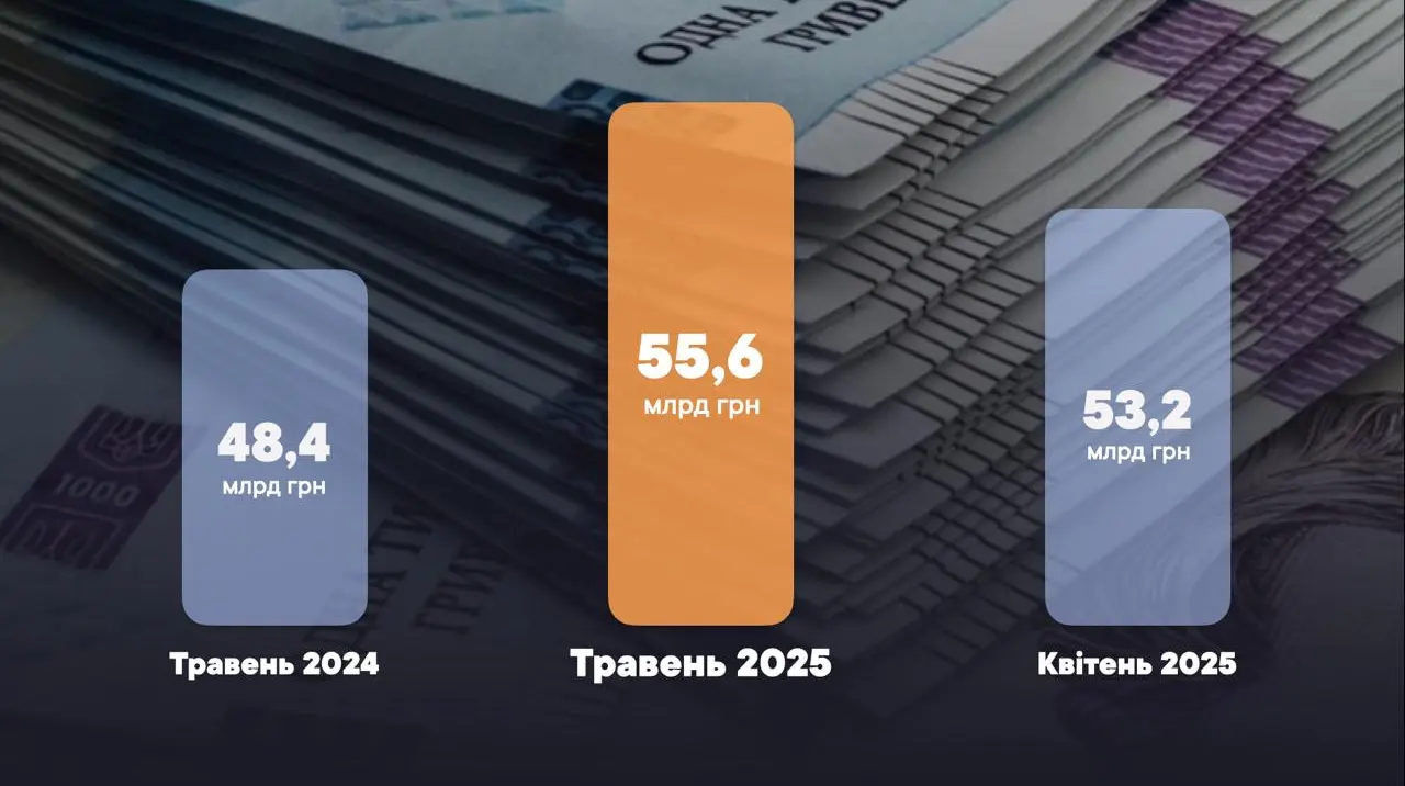 Надходження митних платежів значно зросли: основні бюджетоформуючі товари