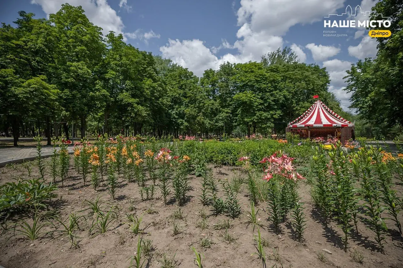 Спека повертається: яка погода буде в Україні та Дніпрі 26 червня