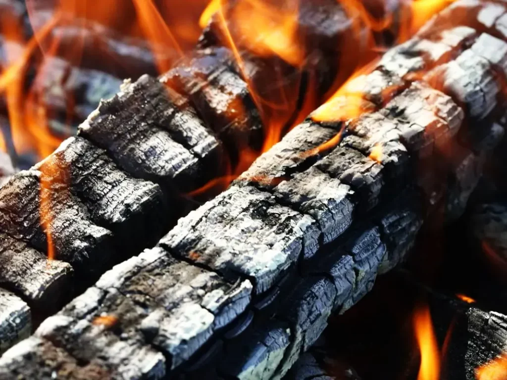 Історія та значення деревного вугілля
