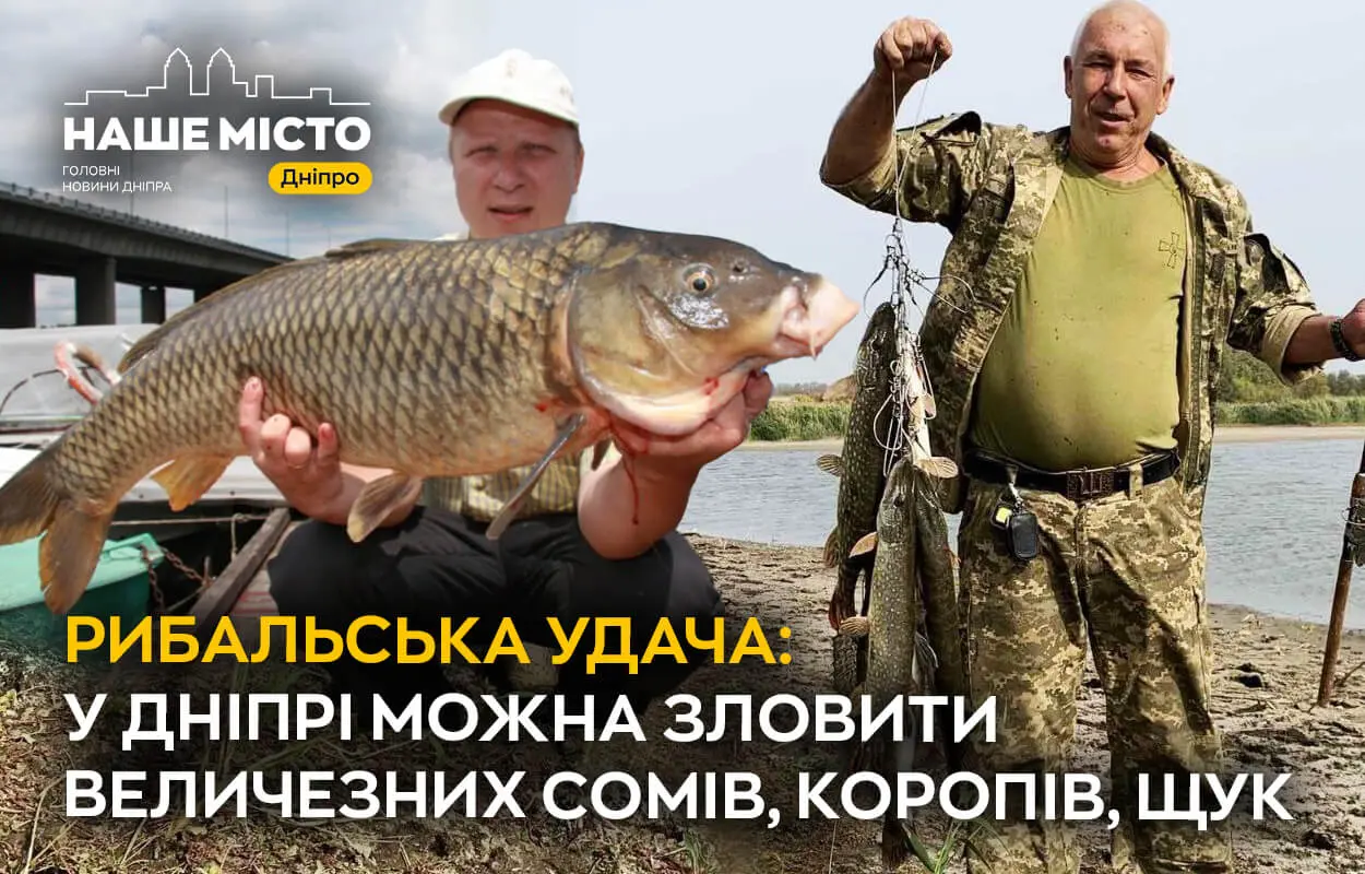 Рибальська удача: у Дніпрі можна зловити величезних сомів, коропів, щук 