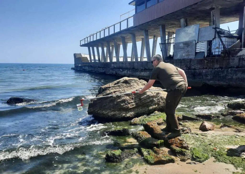 Чому «цвіте» море біля одеських пляжів – екологи назвали причину