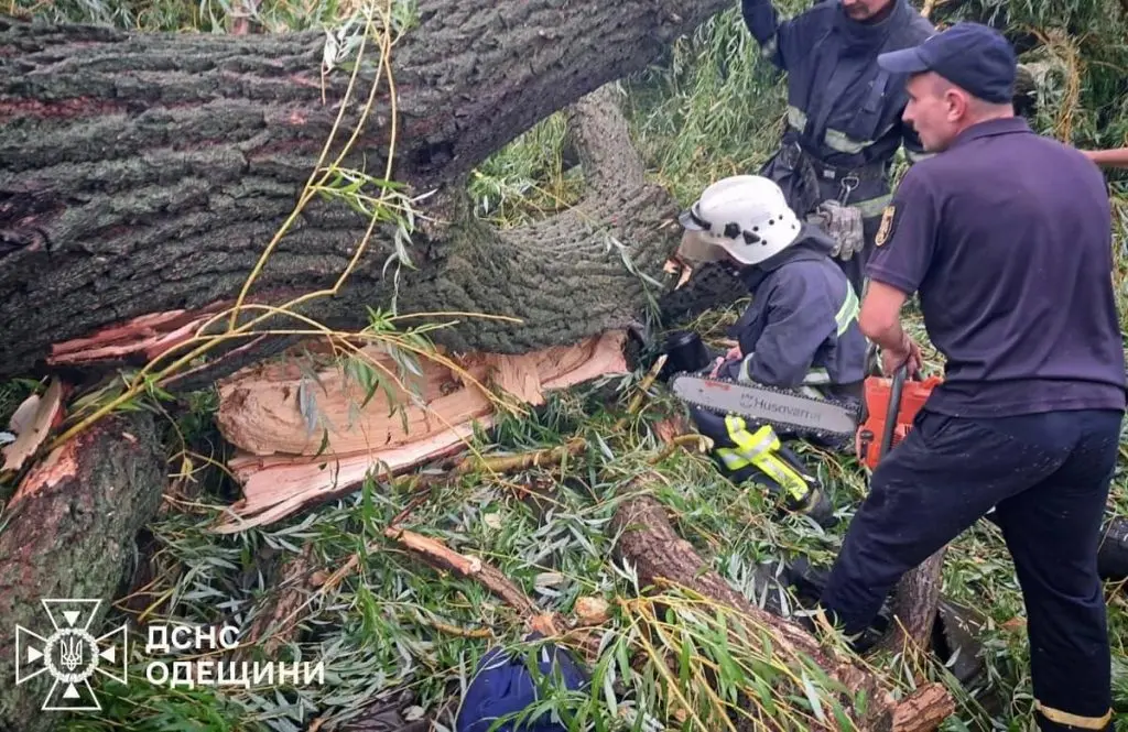 На Одещині дерево обрушилося на намет із підлітками – один загинув