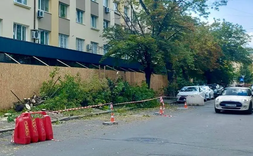 На Подолі невідомі позрізали молоді дерева
