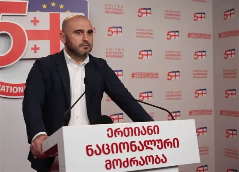 Лідера найбільшої опозиційної партії Грузії помістили під арешт