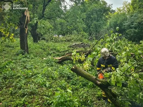 Негода на Буковині: шквальний вітер зривав дахи та валив дерева (фото)