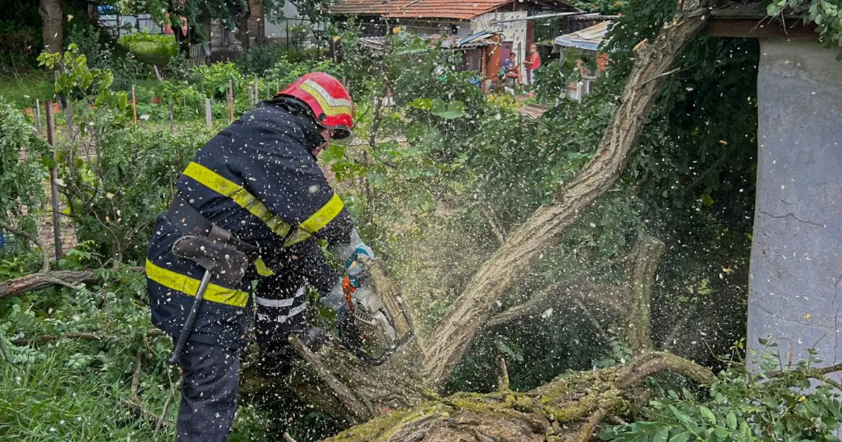 На Вінниччині рятувальники шість разів виїжджали на розкряжування повалених дерев
