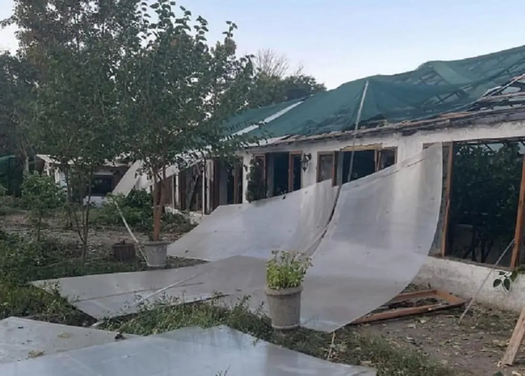 «В нас лихо»: Одеський ботсад постраждав від атаки дронів і просить про допомогу