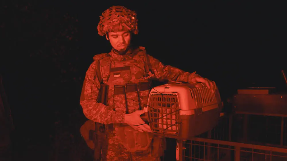 Як у «Хартії» кота Прапора з позицій дроном евакуювали (відео)