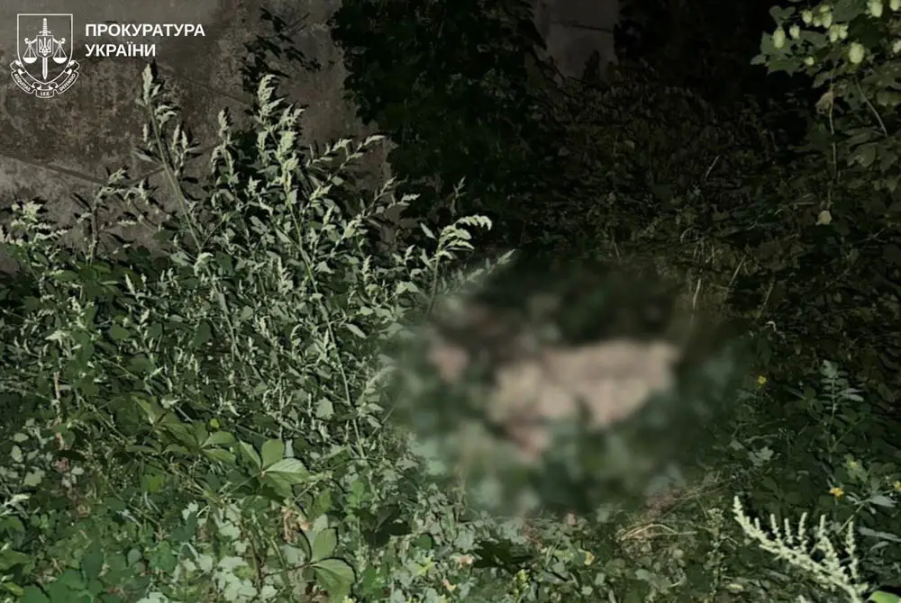Правоохоронці розслідують вбивство собаки господарем у Харкові