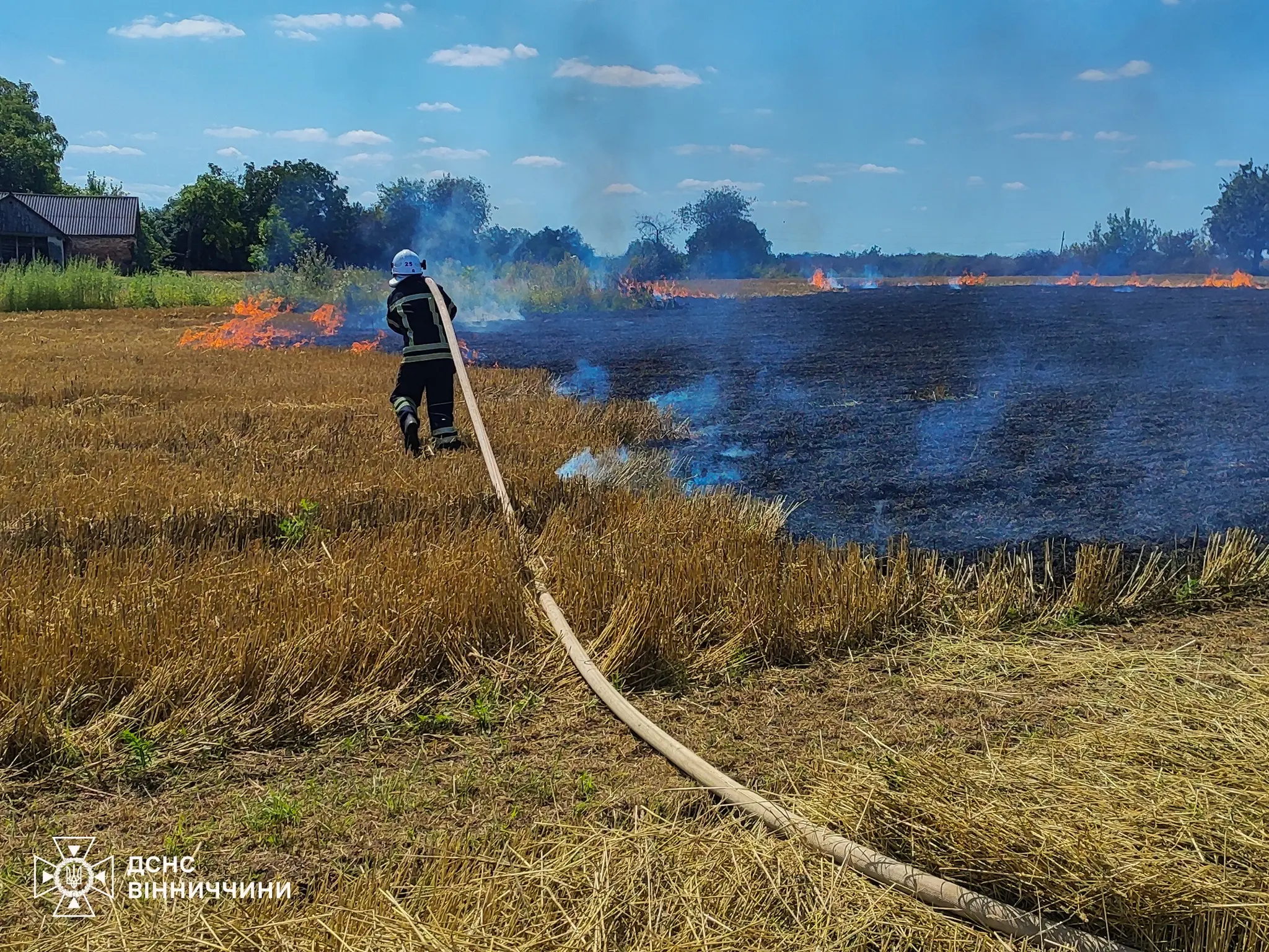 Вогонь обпалив понад 6 гектарів землі: вчора на Вінниччині було шість пожеж в екосистемах