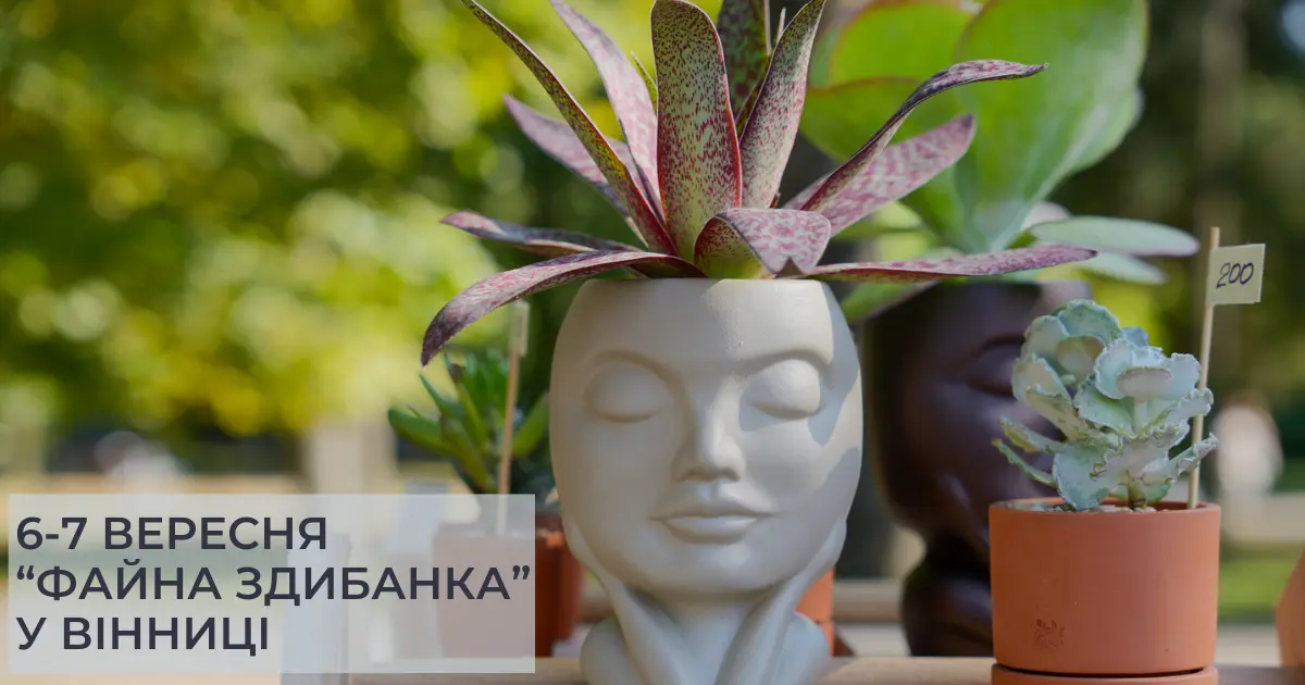 Як у Вінниці стартувала дводенна “Файна Здибанка”. ФОТОРЕПОРТАЖ