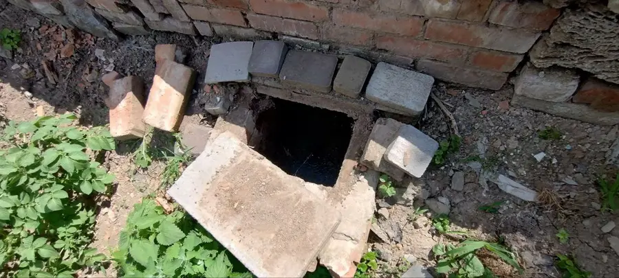 У Вінниці сусіди поскаржились на запах від свиней, інспектори «виписали штраф»