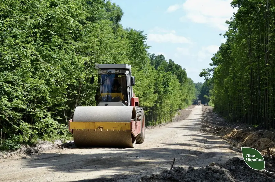 Через ліс на Вінниччині будують нову дорогу