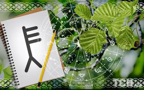 Кельтський гороскоп на 31 липня 2025 року: Близнятам — гармонія у справах, Левам — упевненість у виборі