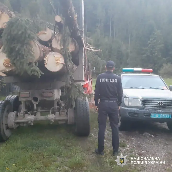 У Вижницькому районі поліцейські затримали вантажівку з незаконно зрубаною деревиною
