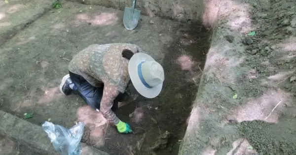 Львівські археологи дослідили у Винниках поселення, яке датується 4000 роками до н. е.