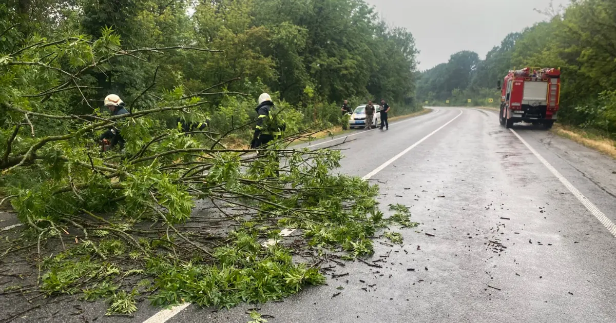 На Вінниччині рятувальники чотири рази виїжджали на ліквідацію наслідків негоди
