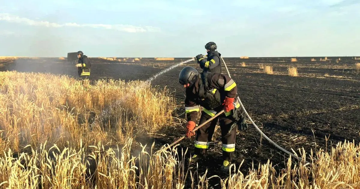 РФ скинула авіабомбу на пшеничне поле у Харківській області