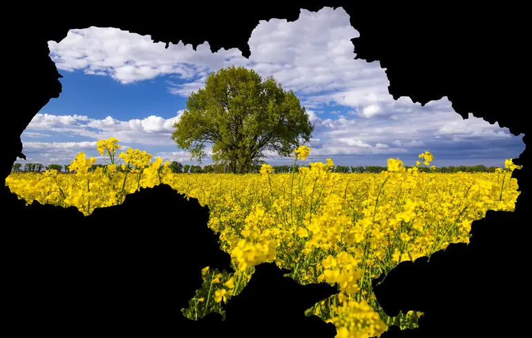Як бажання ручного розподілу коштів знищує прозорість у регіональному розвитку та відносинах з ЄС