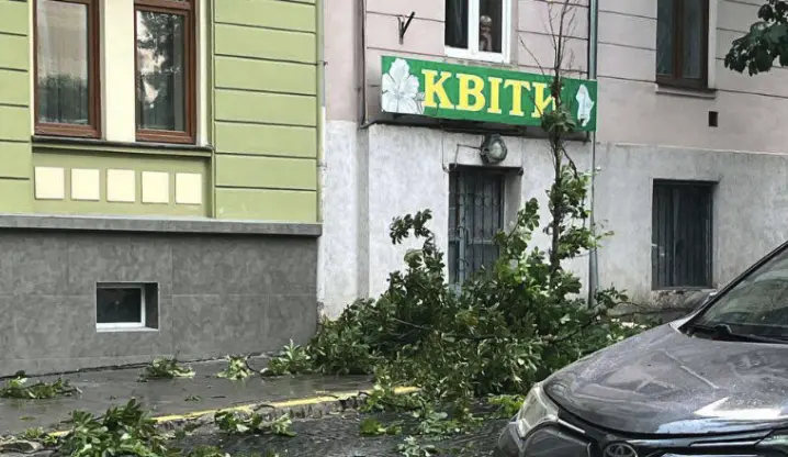 У Чернівцях через буревій аварійно вимкнулася повітряна лінія 110 кВ