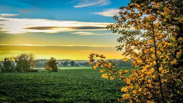 Якою погодою закінчиться літо в Україні: прогноз синоптиків